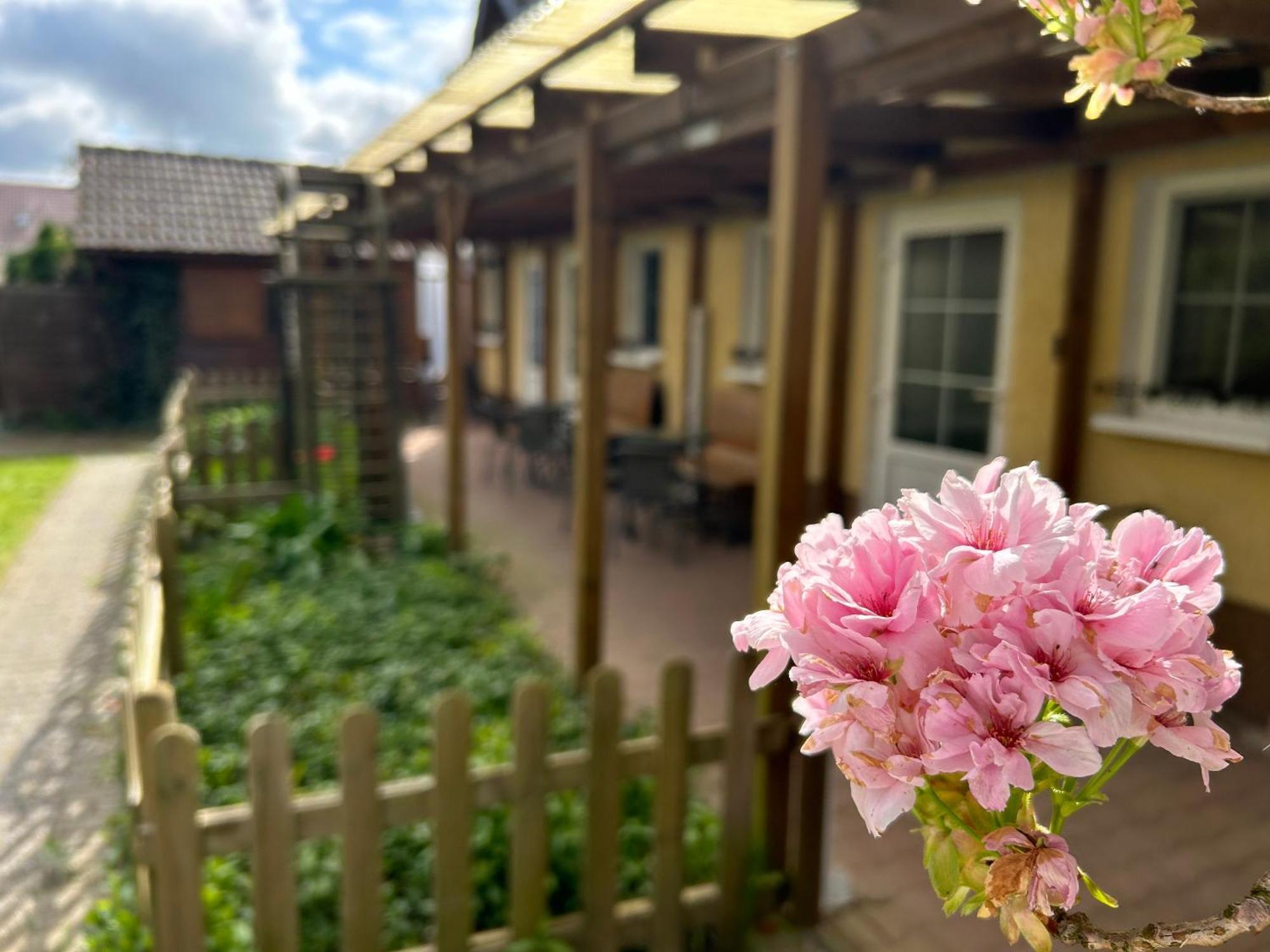 Gemuetliche Wohnung Landlust In See-Naehe Tauche Bagian luar foto