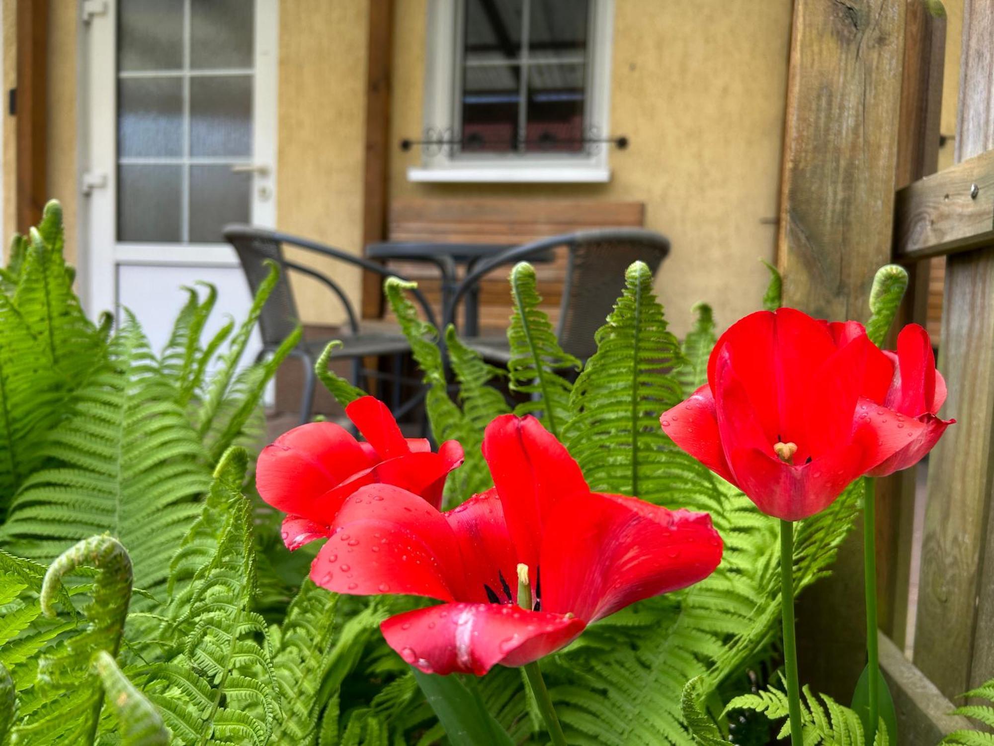 Gemuetliche Wohnung Landlust In See-Naehe Tauche Bagian luar foto
