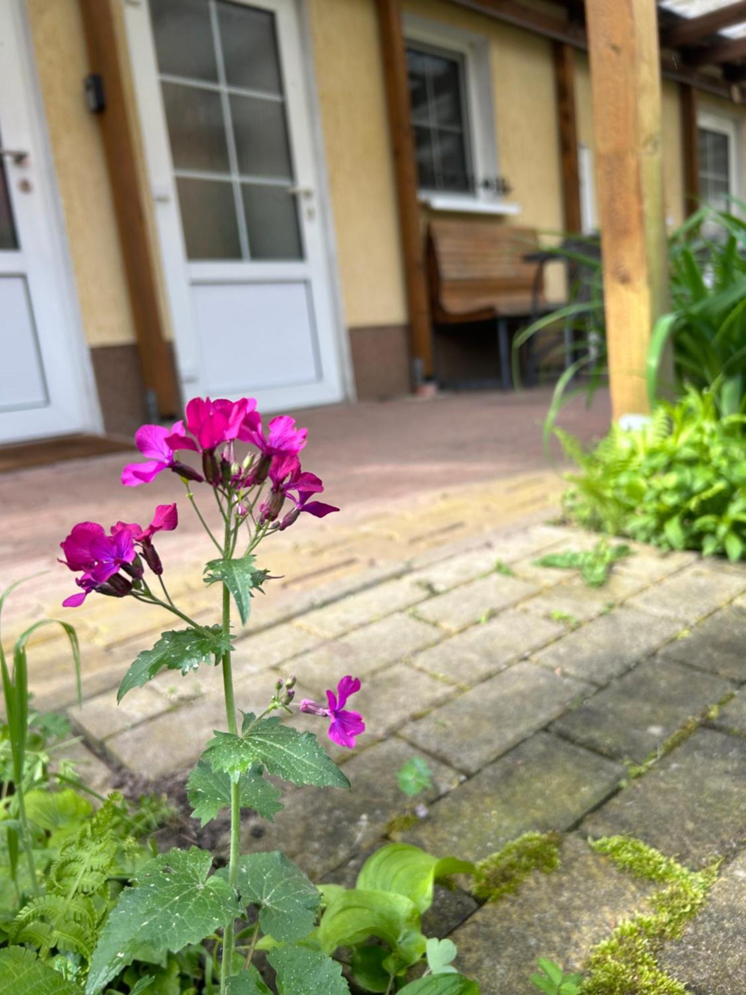 Gemuetliche Wohnung Landlust In See-Naehe Tauche Bagian luar foto